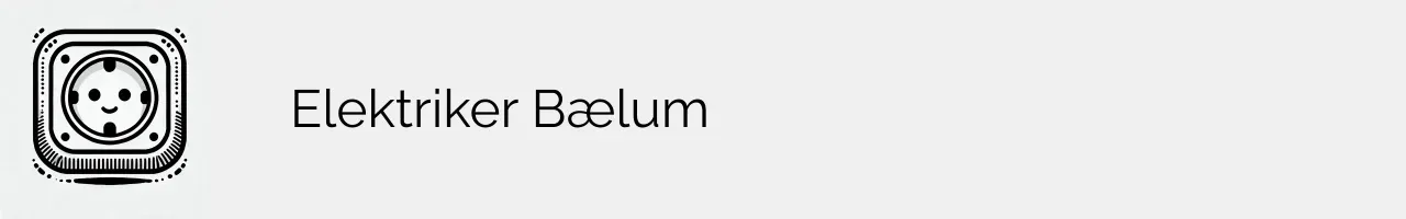 Elektriker Bælum